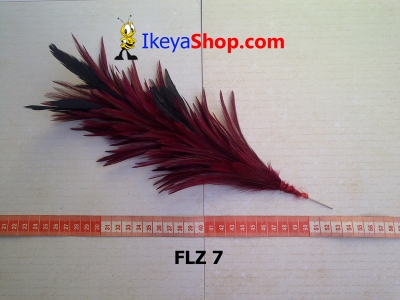 FLZ 7  large2